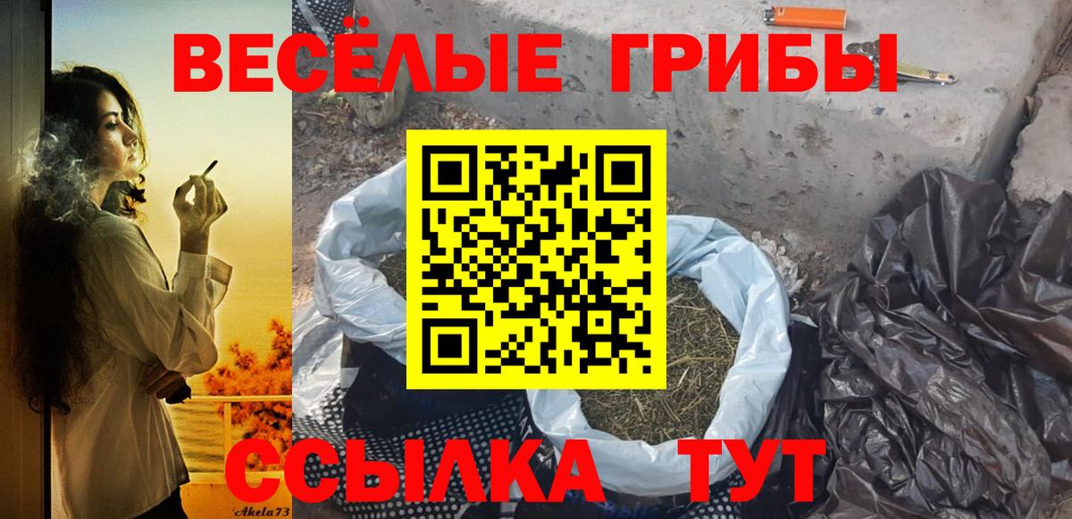 Псилоцибиновые грибы прущие грибы  Вход с VPN  Верхняя Пышма 