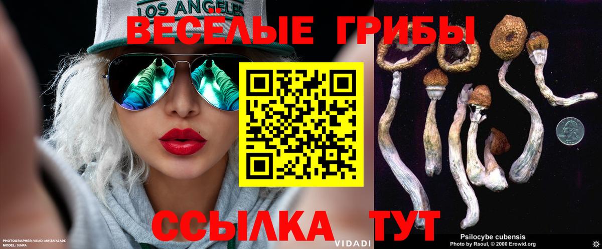 Псилоцибиновые грибы GOLDEN TEACHER Верхняя Пышма